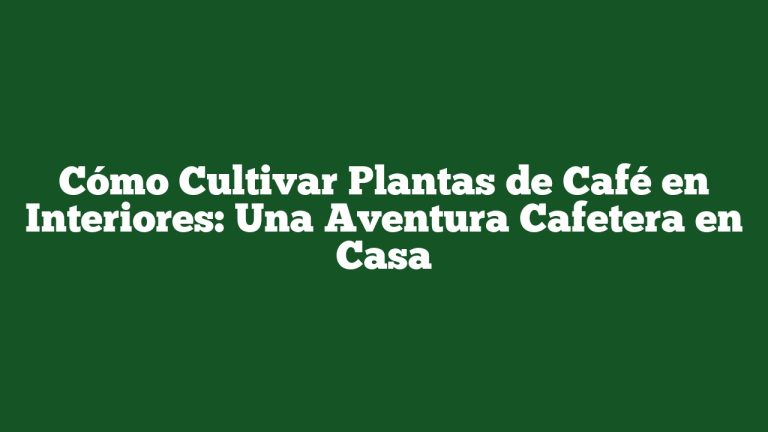 Cómo Cultivar Plantas de Café en Interiores: Una Aventura Cafetera en Casa