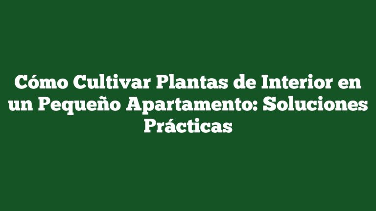 Cómo Cultivar Plantas de Interior en un Pequeño Apartamento: Soluciones Prácticas