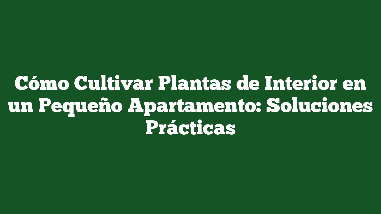 Cómo Cultivar Plantas de Interior en un Pequeño Apartamento: Soluciones Prácticas