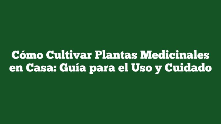 Imagen de Cómo Cultivar Plantas Medicinales en Casa: Guía para el Uso y Cuidado Cómo Cultivar Plantas Medicinales en Casa: Guía para el Uso y Cuidado