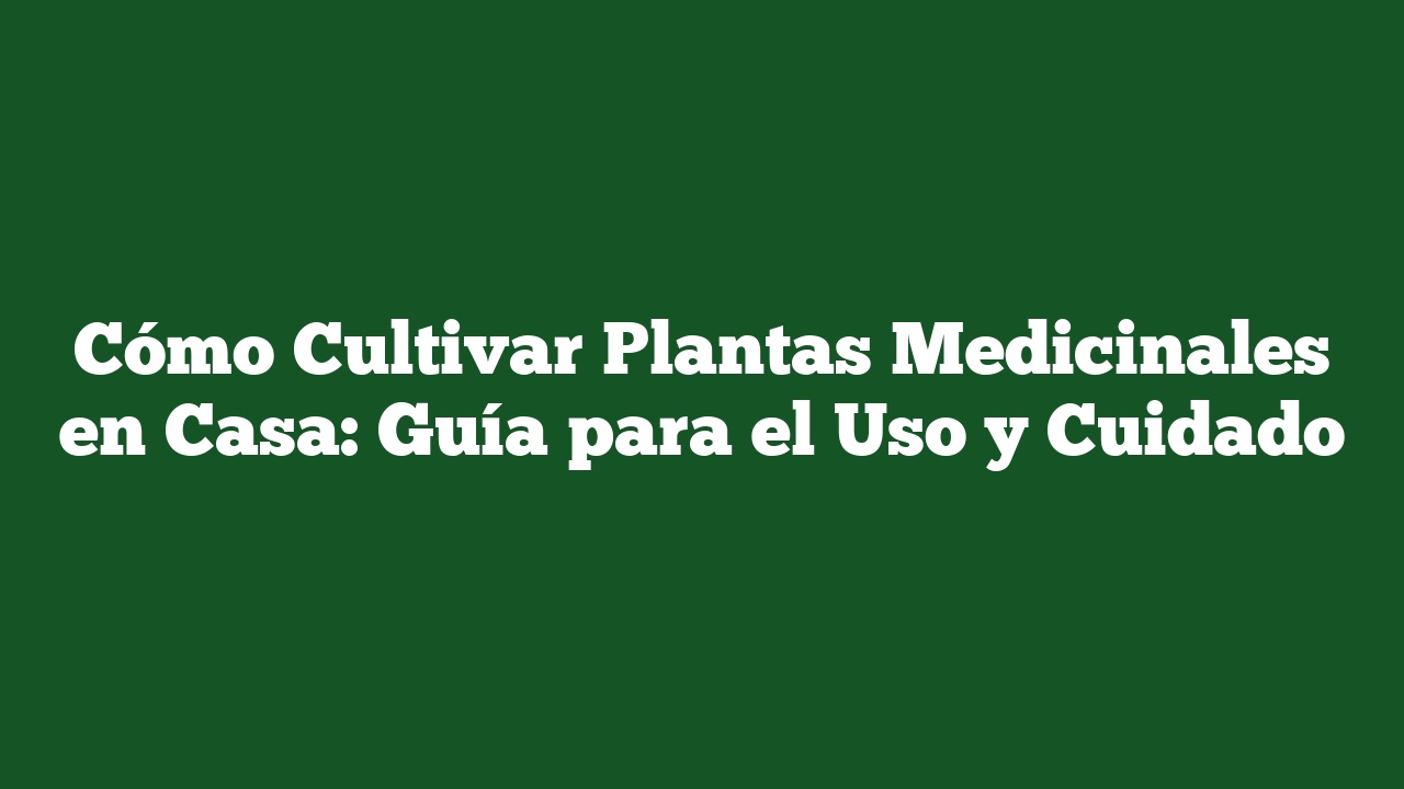 Cómo Cultivar Plantas Medicinales en Casa: Guía para el Uso y Cuidado