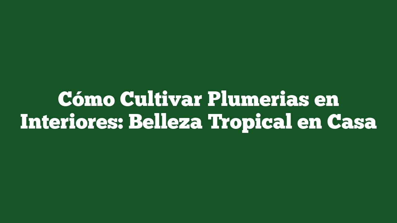 Cómo Cultivar Plumerias en Interiores: Belleza Tropical en Casa