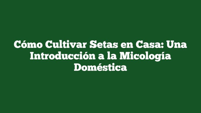 Imagen de Cómo Cultivar Setas en Casa: Una Introducción a la Micología Doméstica Cómo Cultivar Setas en Casa: Una Introducción a la Micología Doméstica