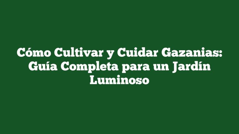Imagen de Cómo Cultivar y Cuidar Gazanias: Guía Completa para un Jardín Luminoso Cómo Cultivar y Cuidar Gazanias: Guía Completa para un Jardín Luminoso