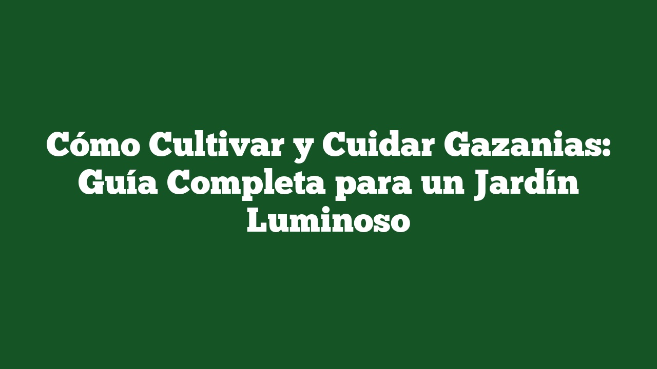 Cómo Cultivar y Cuidar Gazanias: Guía Completa para un Jardín Luminoso