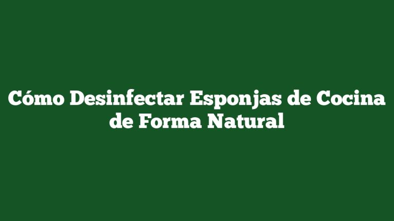 Cómo Desinfectar Esponjas de Cocina de Forma Natural