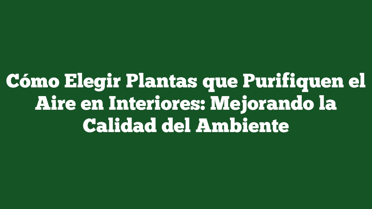 Cómo Elegir Plantas que Purifiquen el Aire en Interiores: Mejorando la Calidad del Ambiente