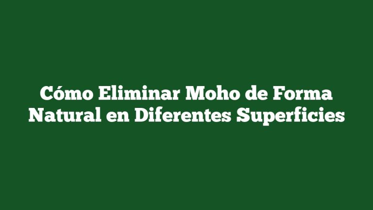 Imagen de Cómo Eliminar Moho de Forma Natural en Diferentes Superficies Cómo Eliminar Moho de Forma Natural en Diferentes Superficies