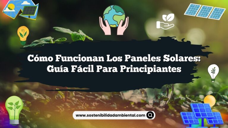 Imagen de Cómo Funcionan los Paneles Solares: Guía Fácil para Principiantes Cómo Funcionan los Paneles Solares: Guía Fácil para Principiantes
