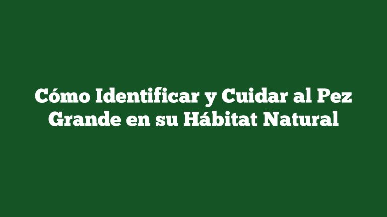 Imagen de Cómo Identificar y Cuidar al Pez Grande en su Hábitat Natural Cómo Identificar y Cuidar al Pez Grande en su Hábitat Natural