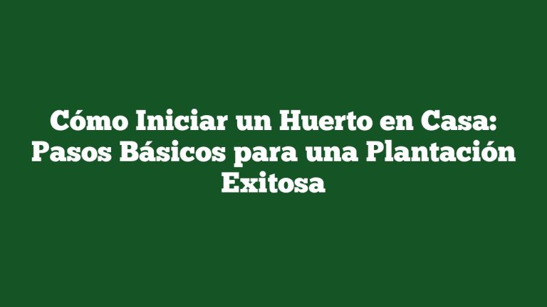 Imagen de Cómo Iniciar un Huerto en Casa: Pasos Básicos para una Plantación Exitosa Cómo Iniciar un Huerto en Casa: Pasos Básicos para una Plantación Exitosa