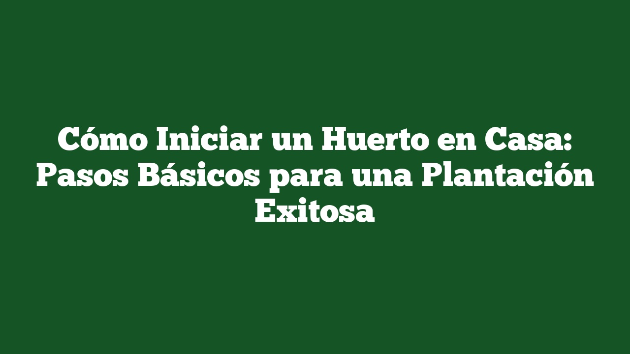 Cómo Iniciar un Huerto en Casa: Pasos Básicos para una Plantación Exitosa