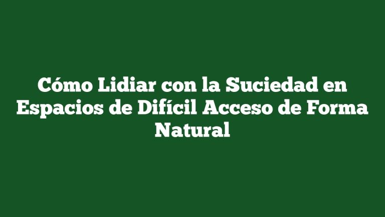 Imagen de Cómo Lidiar con la Suciedad en Espacios de Difícil Acceso de Forma Natural Cómo Lidiar con la Suciedad en Espacios de Difícil Acceso de Forma Natural