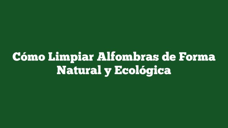 Cómo Limpiar Alfombras de Forma Natural y Ecológica