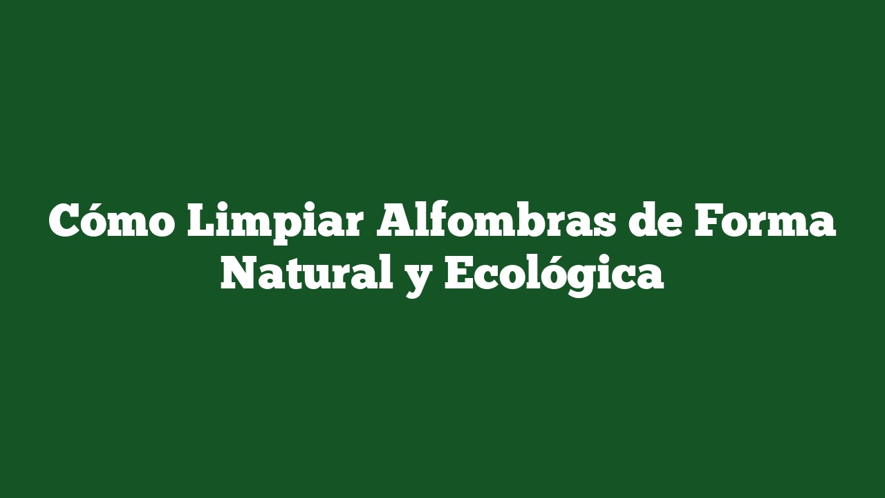Cómo Limpiar Alfombras de Forma Natural y Ecológica