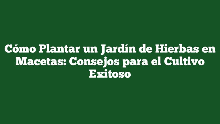 Cómo Plantar un Jardín de Hierbas en Macetas: Consejos para el Cultivo Exitoso