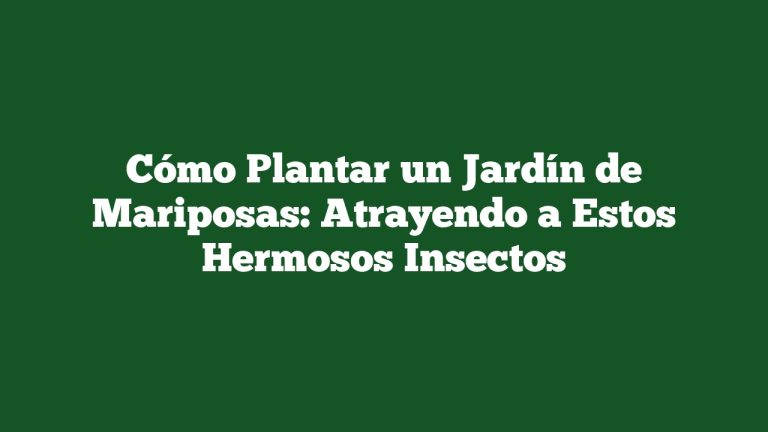 Imagen de Cómo Plantar un Jardín de Mariposas: Atrayendo a Estos Hermosos Insectos Cómo Plantar un Jardín de Mariposas: Atrayendo a Estos Hermosos Insectos