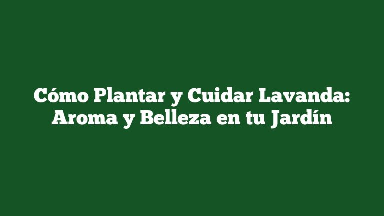 Cómo Plantar y Cuidar Lavanda: Aroma y Belleza en tu Jardín