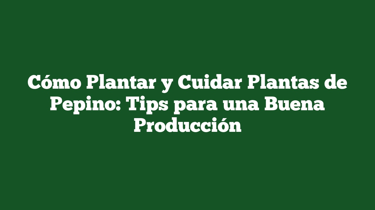 Cómo Plantar y Cuidar Plantas de Pepino: Tips para una Buena Producción