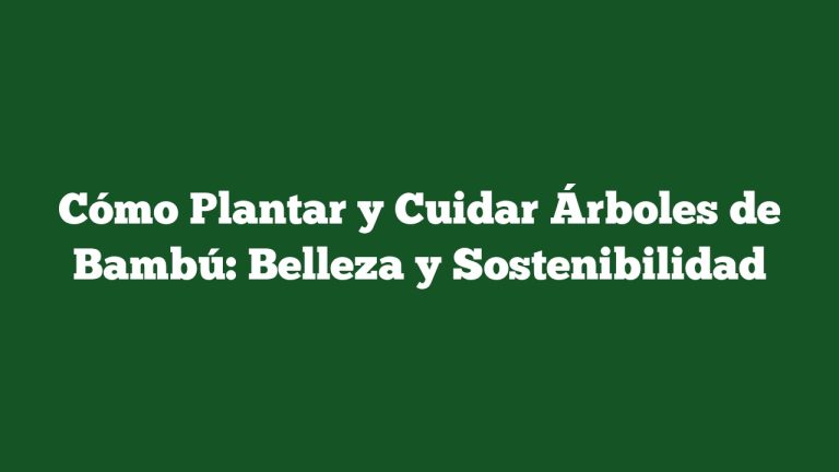 Imagen de Cómo Plantar y Cuidar Árboles de Bambú: Belleza y Sostenibilidad Cómo Plantar y Cuidar Árboles de Bambú: Belleza y Sostenibilidad