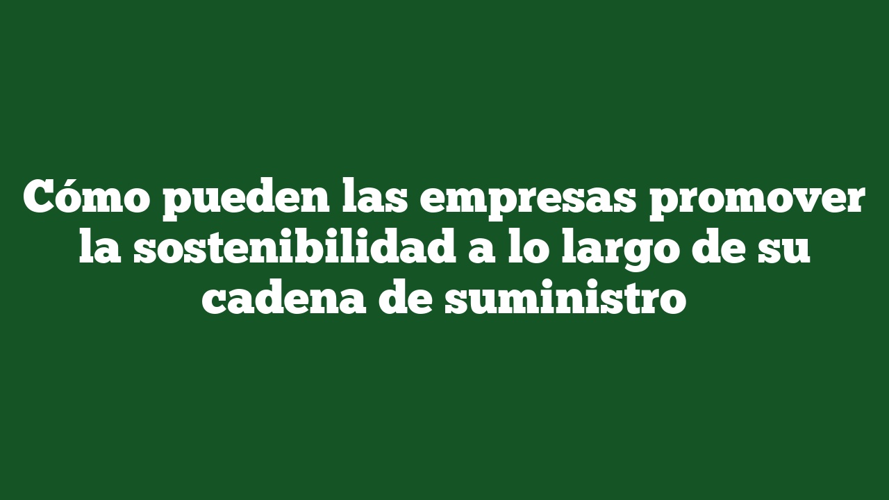 Cómo pueden las empresas promover la sostenibilidad a lo largo de su cadena de suministro