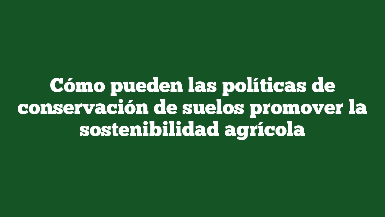 Cómo pueden las políticas de conservación de suelos promover la sostenibilidad agrícola