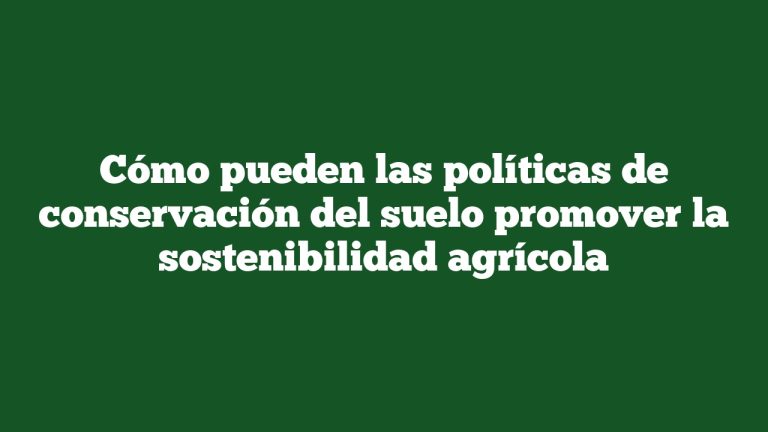Imagen de Cómo pueden las políticas de conservación del suelo promover la sostenibilidad agrícola Cómo pueden las políticas de conservación del suelo promover la sostenibilidad agrícola