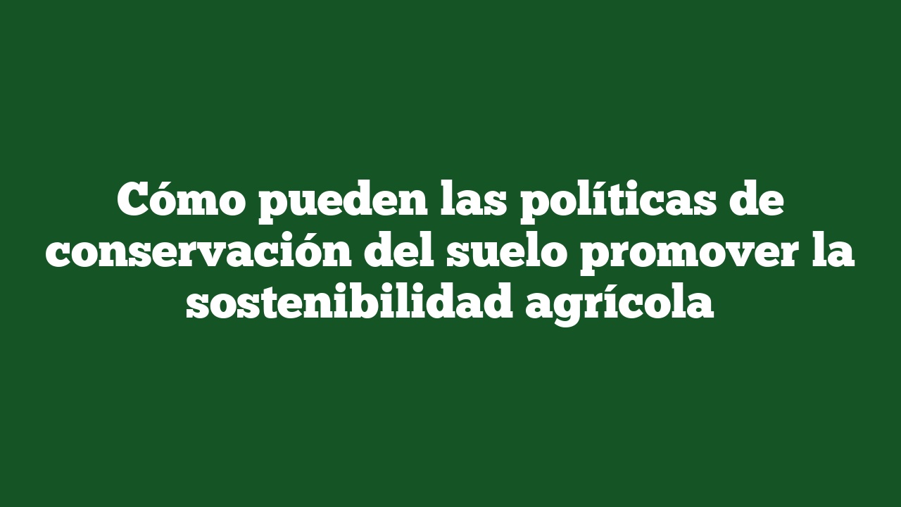 Cómo pueden las políticas de conservación del suelo promover la sostenibilidad agrícola