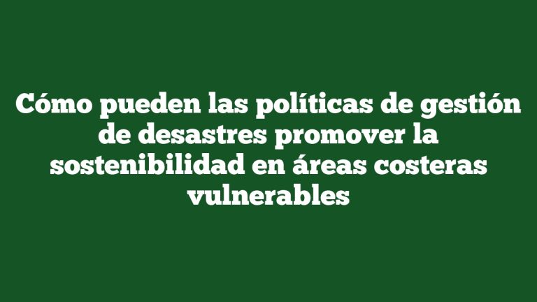 Imagen de Cómo pueden las políticas de gestión de desastres promover la sostenibilidad en áreas costeras vulnerables Cómo pueden las políticas de gestión de desastres promover la sostenibilidad en áreas costeras vulnerables