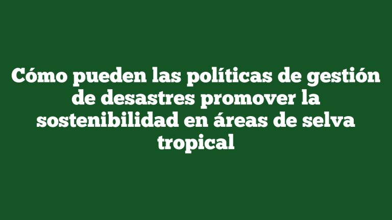 Cómo pueden las políticas de gestión de desastres promover la sostenibilidad en áreas de selva tropical