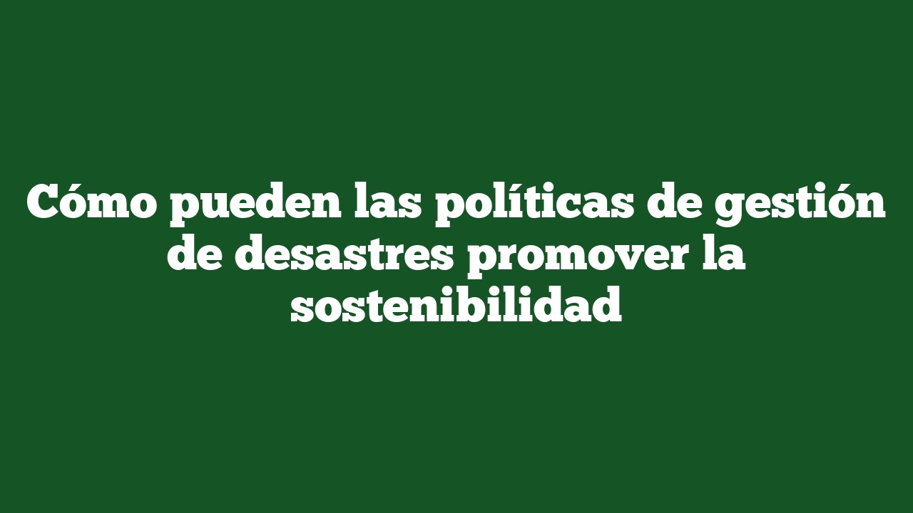 Cómo pueden las políticas de gestión de desastres promover la sostenibilidad