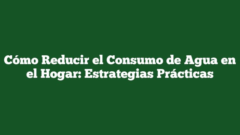 Imagen de Cómo Reducir el Consumo de Agua en el Hogar: Estrategias Prácticas Cómo Reducir el Consumo de Agua en el Hogar: Estrategias Prácticas