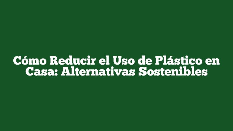 Imagen de Cómo Reducir el Uso de Plástico en Casa: Alternativas Sostenibles Cómo Reducir el Uso de Plástico en Casa: Alternativas Sostenibles