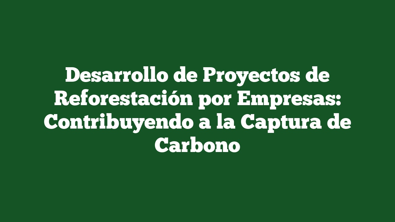 Desarrollo de Proyectos de Reforestación por Empresas: Contribuyendo a la Captura de Carbono