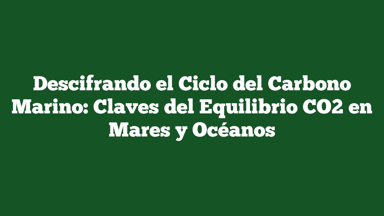 Descifrando el Ciclo del Carbono Marino: Claves del Equilibrio CO2 en Mares y Océanos