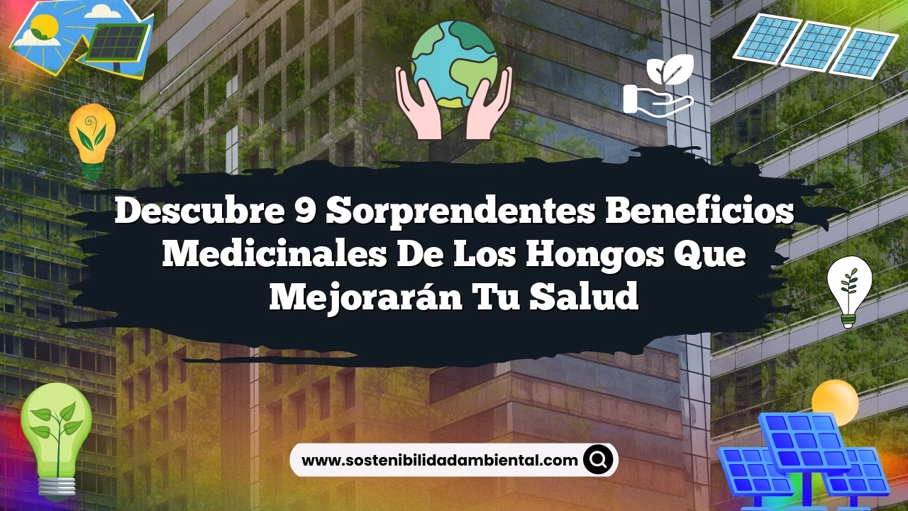 Descubre 9 Sorprendentes Beneficios Medicinales de los Hongos que Mejorarán Tu Salud