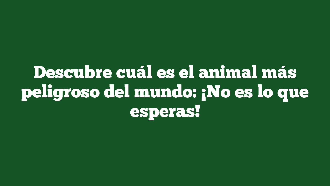 Descubre cuál es el animal más peligroso del mundo: ¡No es lo que esperas!