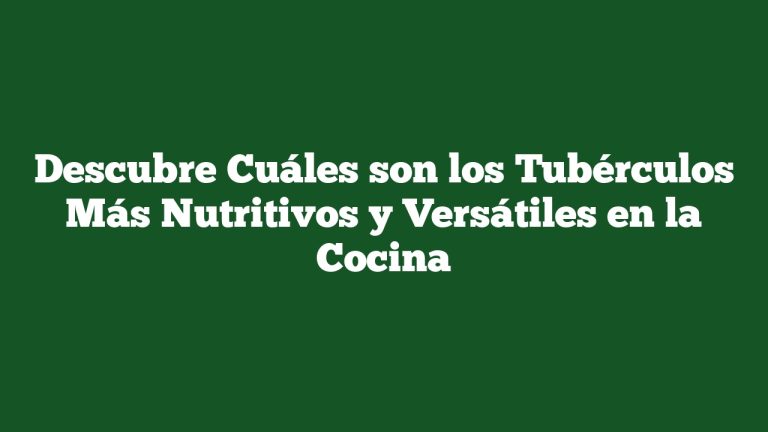 Imagen de Descubre Cuáles son los Tubérculos Más Nutritivos y Versátiles en la Cocina Descubre Cuáles son los Tubérculos Más Nutritivos y Versátiles en la Cocina