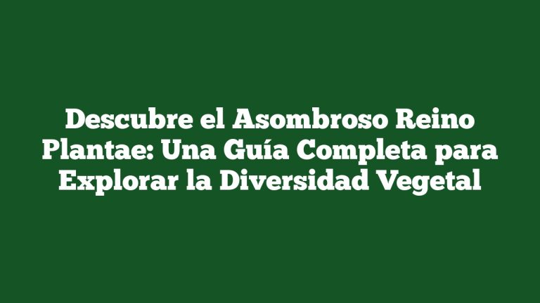 Descubre el Asombroso Reino Plantae: Una Guía Completa para Explorar la Diversidad Vegetal