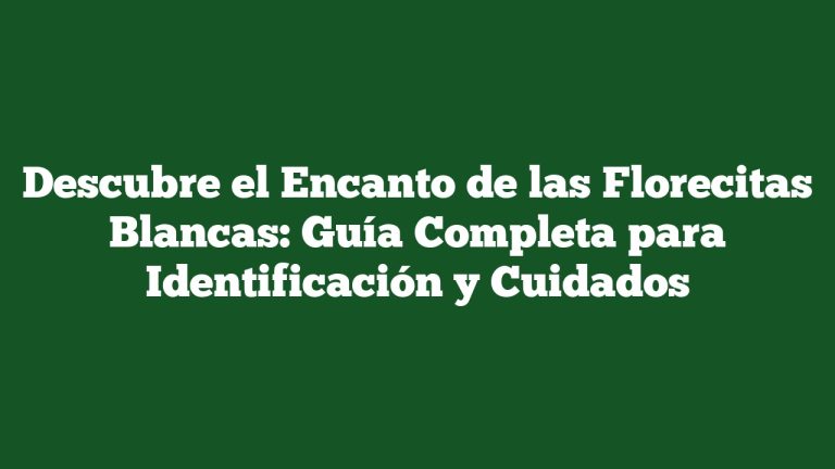 Imagen de Descubre el Encanto de las Florecitas Blancas: Guía Completa para Identificación y Cuidados Descubre el Encanto de las Florecitas Blancas: Guía Completa para Identificación y Cuidados