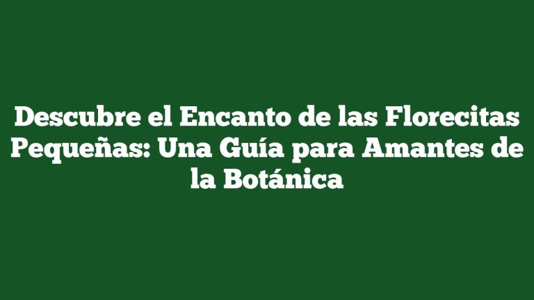 Imagen de Descubre el Encanto de las Florecitas Pequeñas: Una Guía para Amantes de la Botánica Descubre el Encanto de las Florecitas Pequeñas: Una Guía para Amantes de la Botánica