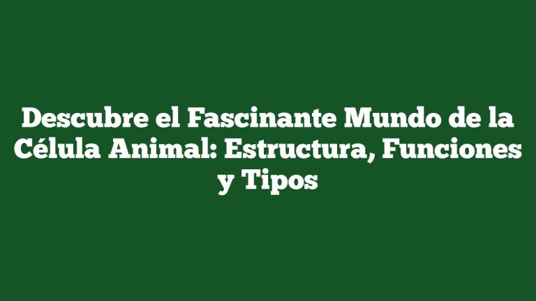 Imagen de Descubre el Fascinante Mundo de la Célula Animal: Estructura, Funciones y Tipos Descubre el Fascinante Mundo de la Célula Animal: Estructura, Funciones y Tipos