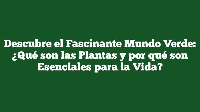 Imagen de Descubre el Fascinante Mundo Verde: ¿Qué son las Plantas y por qué son Esenciales para la Vida? Descubre el Fascinante Mundo Verde: ¿Qué son las Plantas y por qué son Esenciales para la Vida?