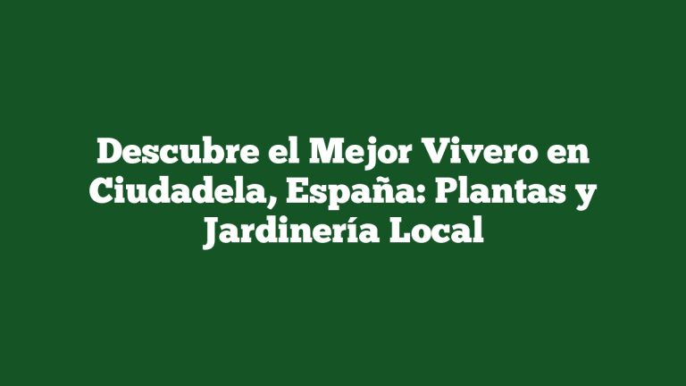 Imagen de Descubre el Mejor Vivero en Ciudadela, España: Plantas y Jardinería Local Descubre el Mejor Vivero en Ciudadela, España: Plantas y Jardinería Local