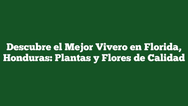 Descubre el Mejor Vivero en Florida, Honduras: Plantas y Flores de Calidad