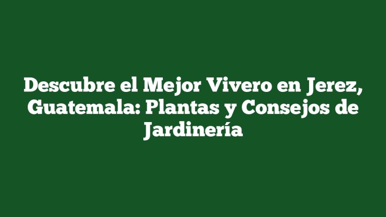 Descubre el Mejor Vivero en Jerez, Guatemala: Plantas y Consejos de Jardinería