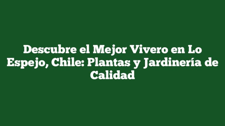 Descubre el Mejor Vivero en Lo Espejo, Chile: Plantas y Jardinería de Calidad