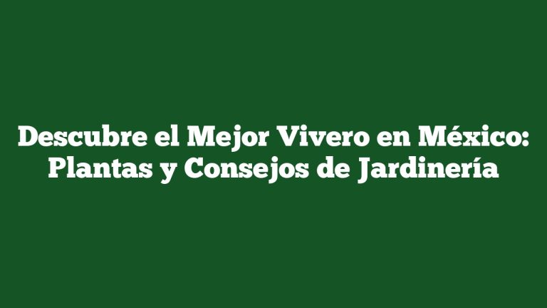 Descubre el Mejor Vivero en México: Plantas y Consejos de Jardinería