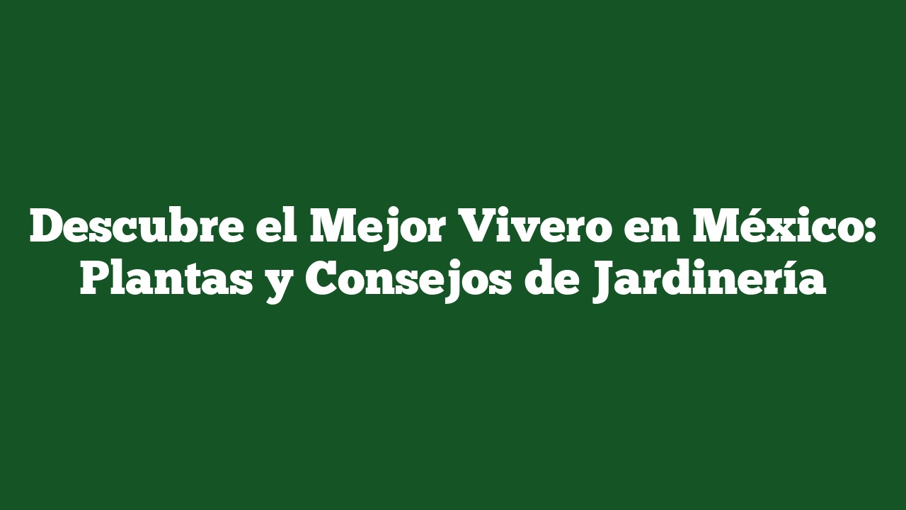 Descubre el Mejor Vivero en México: Plantas y Consejos de Jardinería