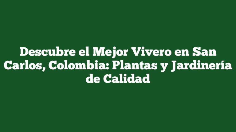 Imagen de Descubre el Mejor Vivero en San Carlos, Colombia: Plantas y Jardinería de Calidad Descubre el Mejor Vivero en San Carlos, Colombia: Plantas y Jardinería de Calidad